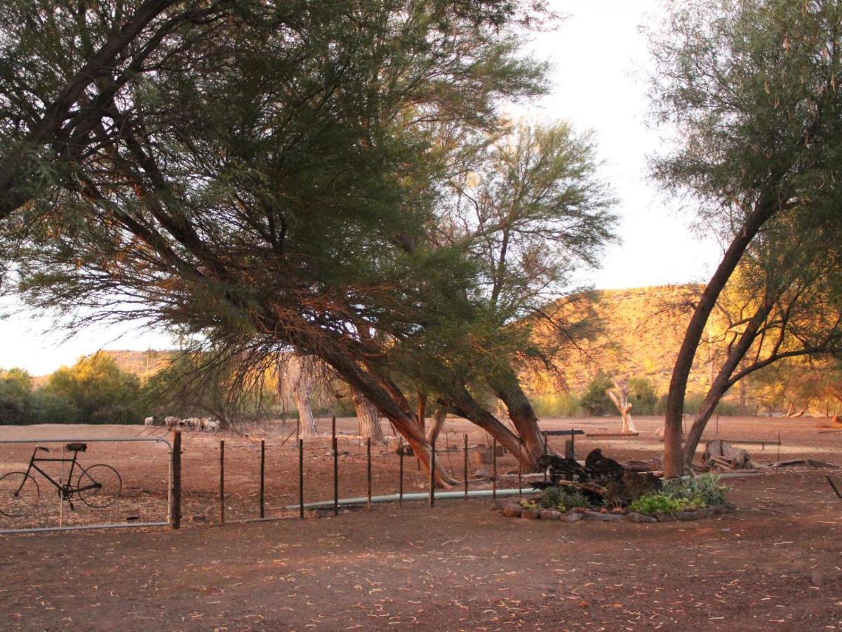 Quaggasfontein Gastehuis Beaufort West Dış mekan fotoğraf